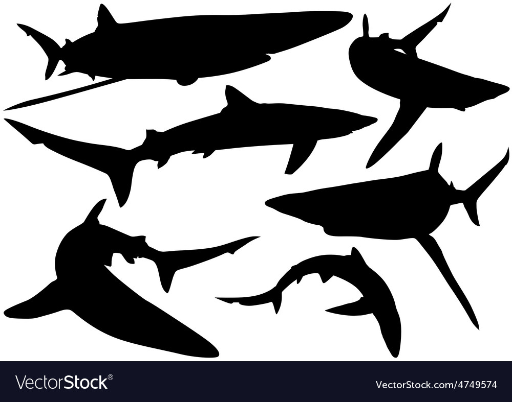 Blue shark silhouettes