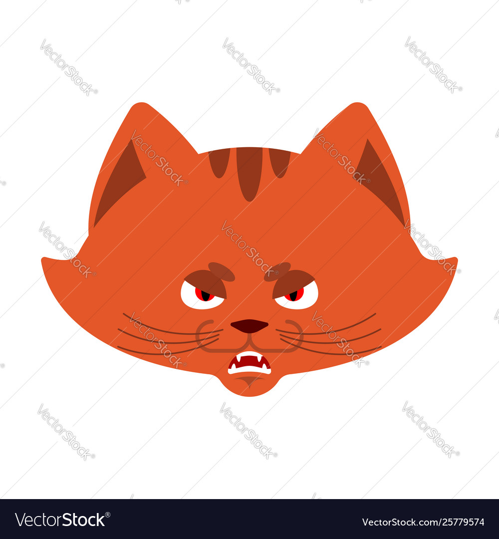 Angry grumpy cat emoji face Royalty Free Vector Image