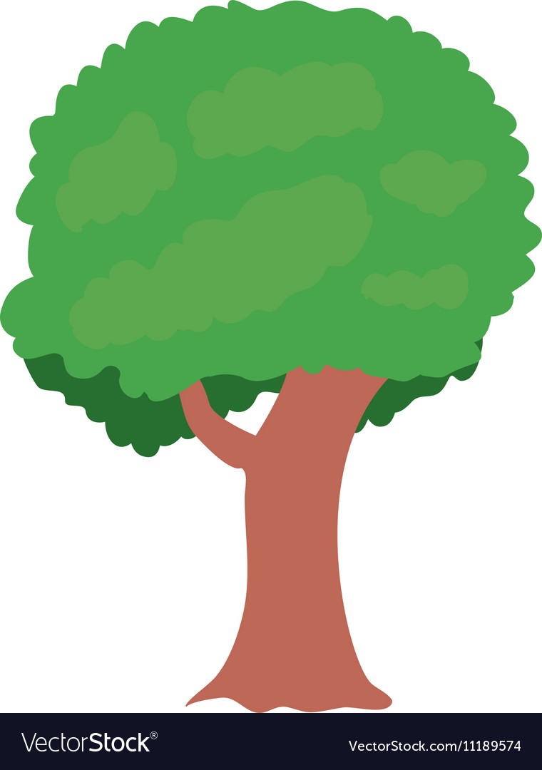 Green tree plant Royalty Free Vector Image - VectorStock