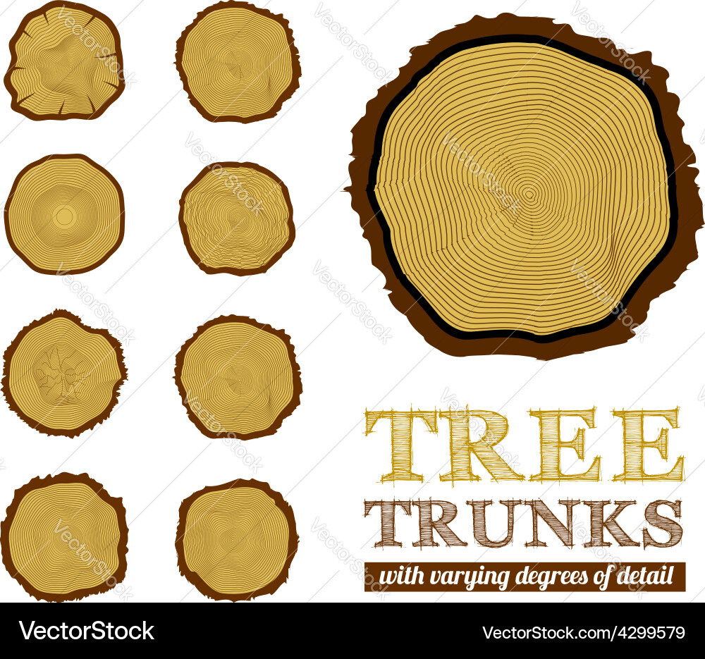 Cross section trunk Royalty Free Vector Image - VectorStock