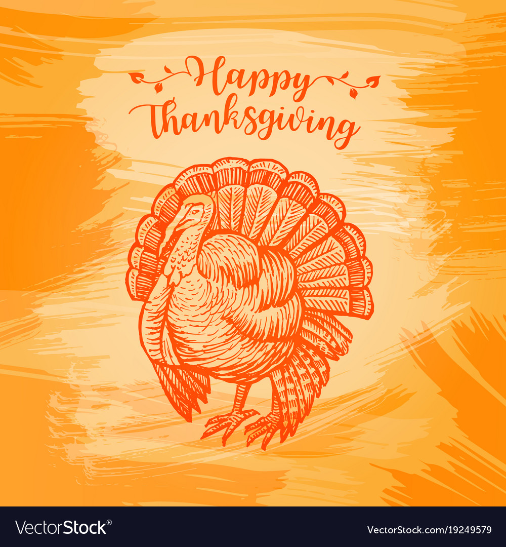 Hand drawn sketch turkey natural