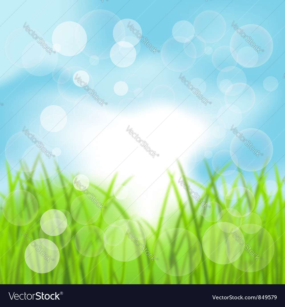 Spring Bokeh Grass Background