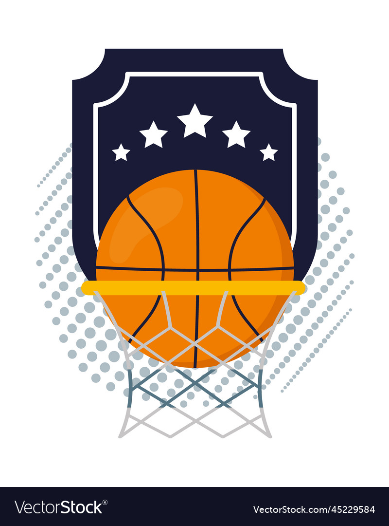 Basketball ball and net Royalty Free Vector Image