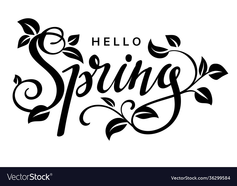 Hello spring black lettering with leaves Vector Image