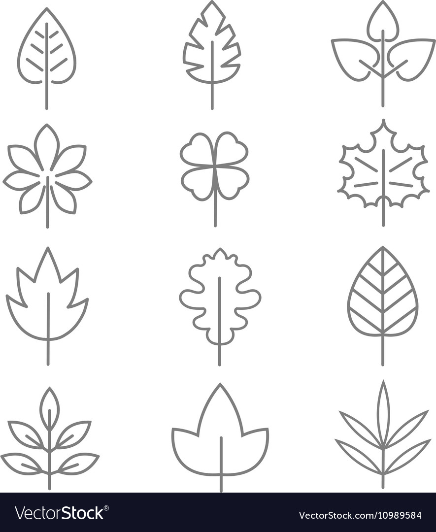 Leaf thin line icons Royalty Free Vector Image