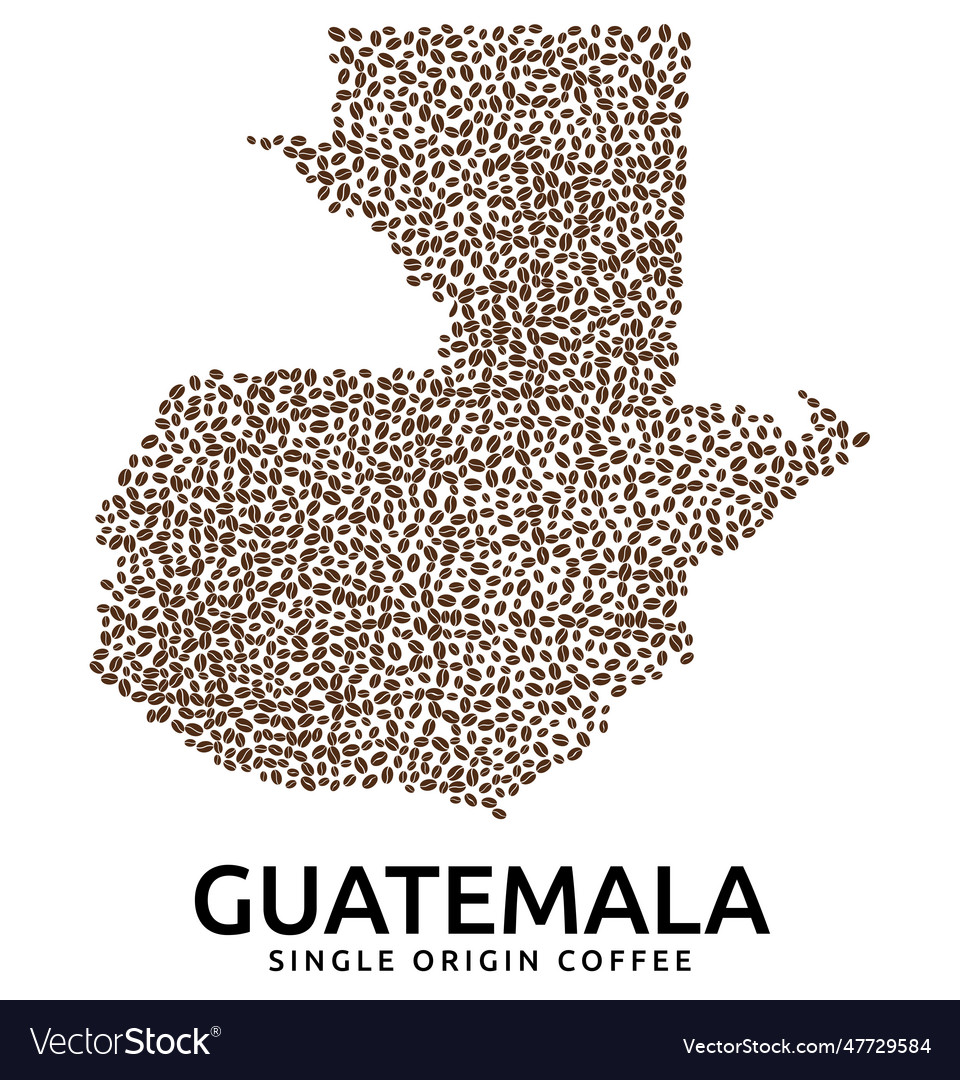 Shape of guatemala map made scattered coffee