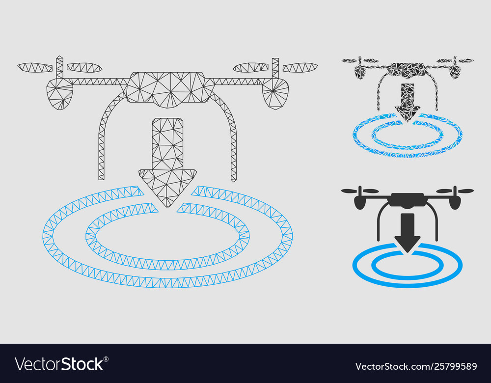 Drone landing mesh 2d model and triangle vector image Drone landing mesh 2d model and triangle