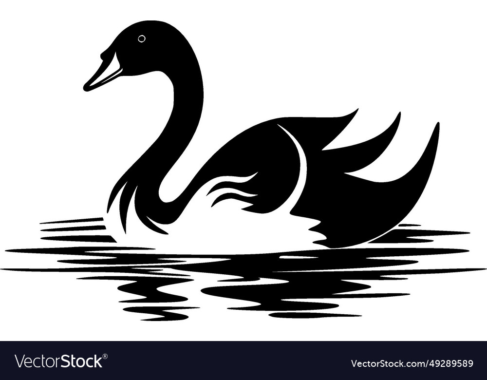 Swan - black and white