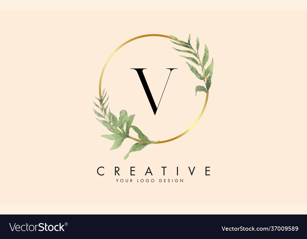 V letter logo design with golden circles