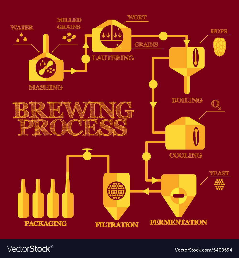 Brewery process infographics