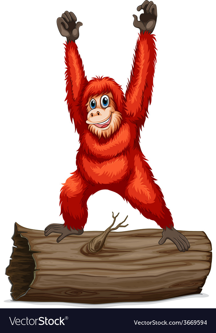 Orangutan Royalty Free Vector Image - VectorStock