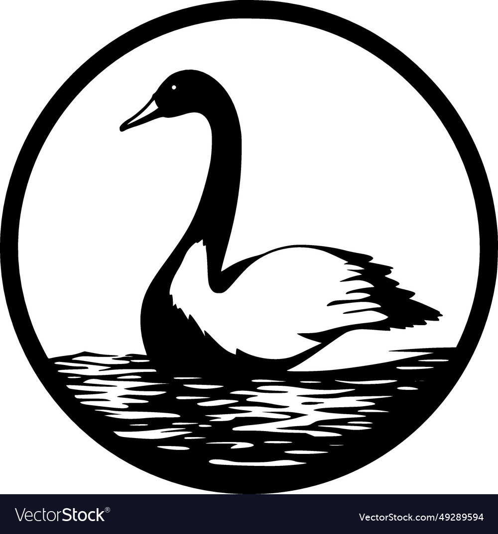 Swan - black and white