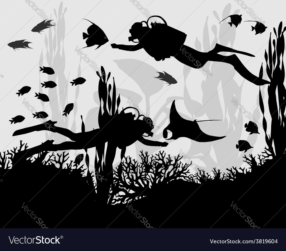 Diver in coral reef Royalty Free Vector Image - VectorStock