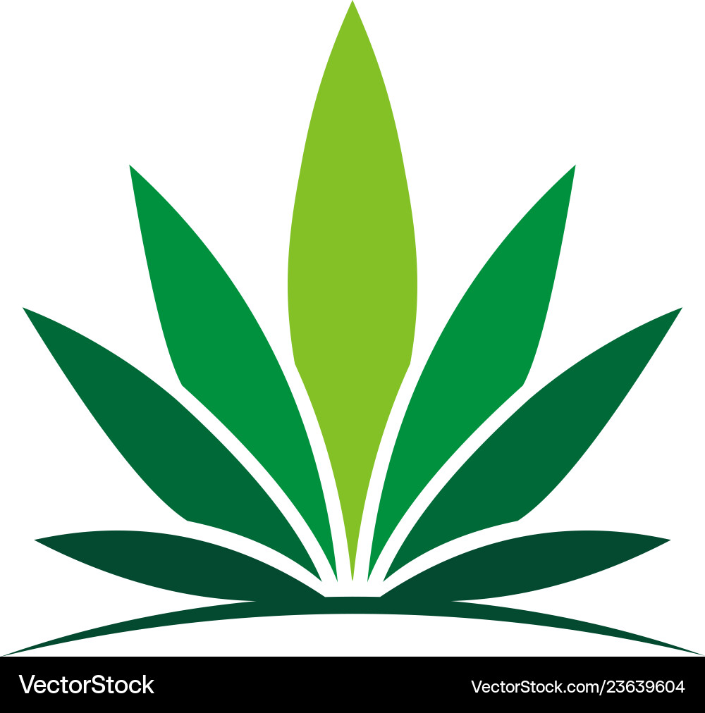 Leaf logo template Royalty Free Vector Image - VectorStock