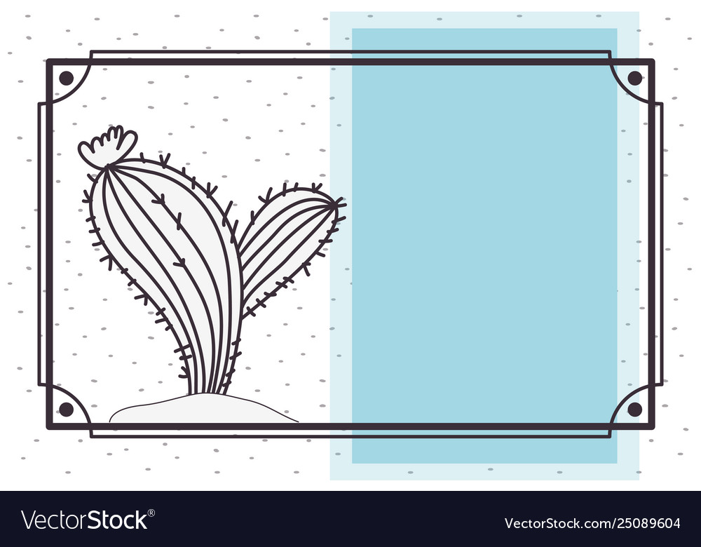 Pattern cactus in frame isolated icon vector image Pattern cactus in frame isolated icon