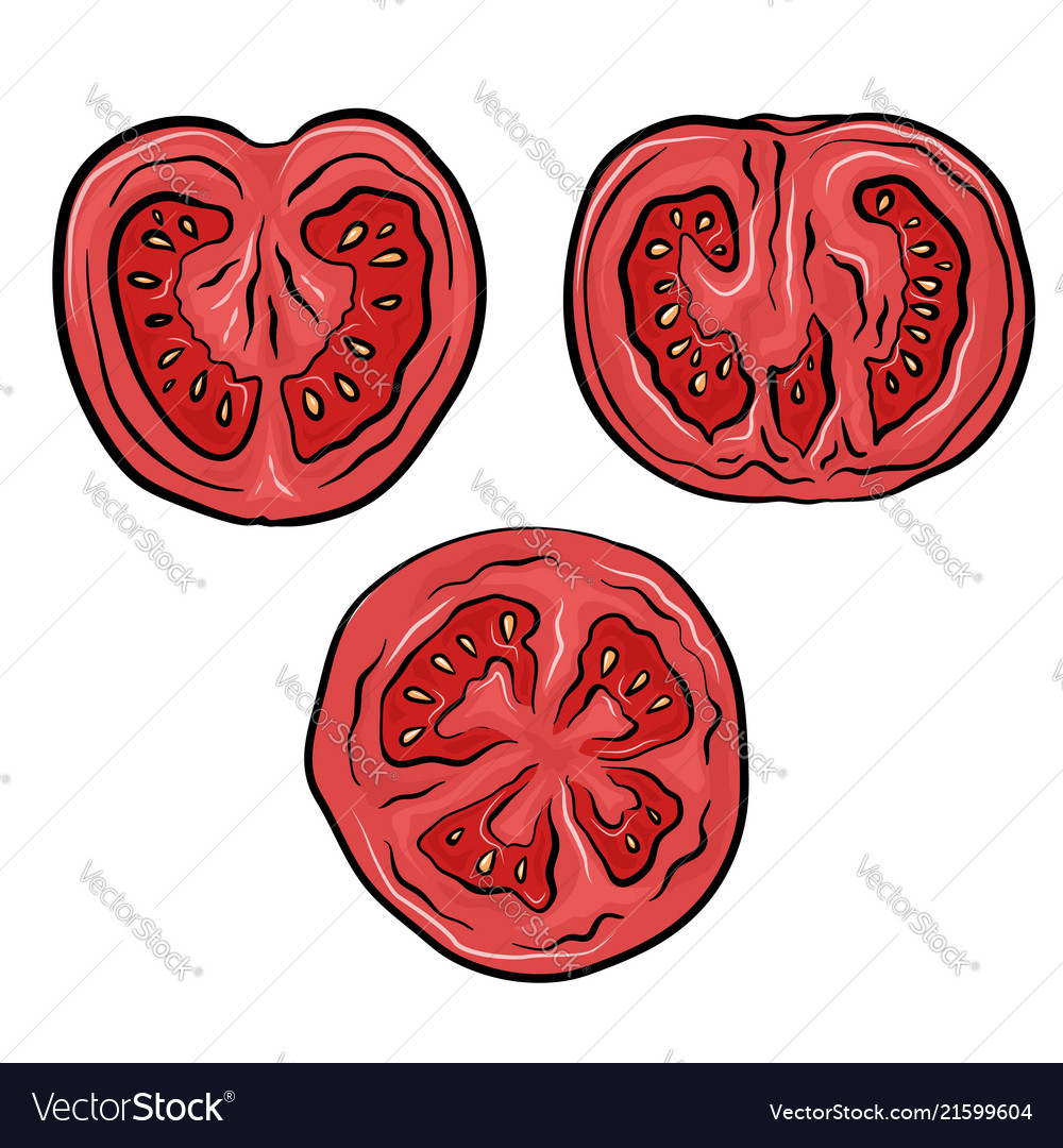 Set a tomato in cut color objects separate vector image Set a tomato in cut color objects separate