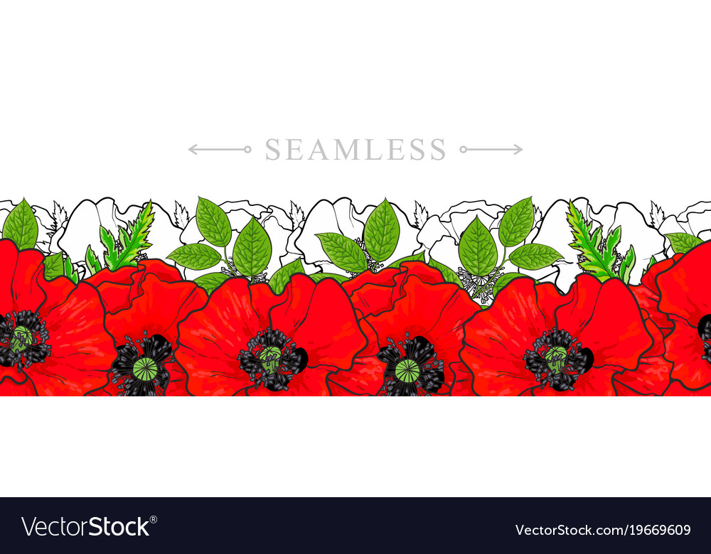 Hand drawn red poppy seamless pattern frame