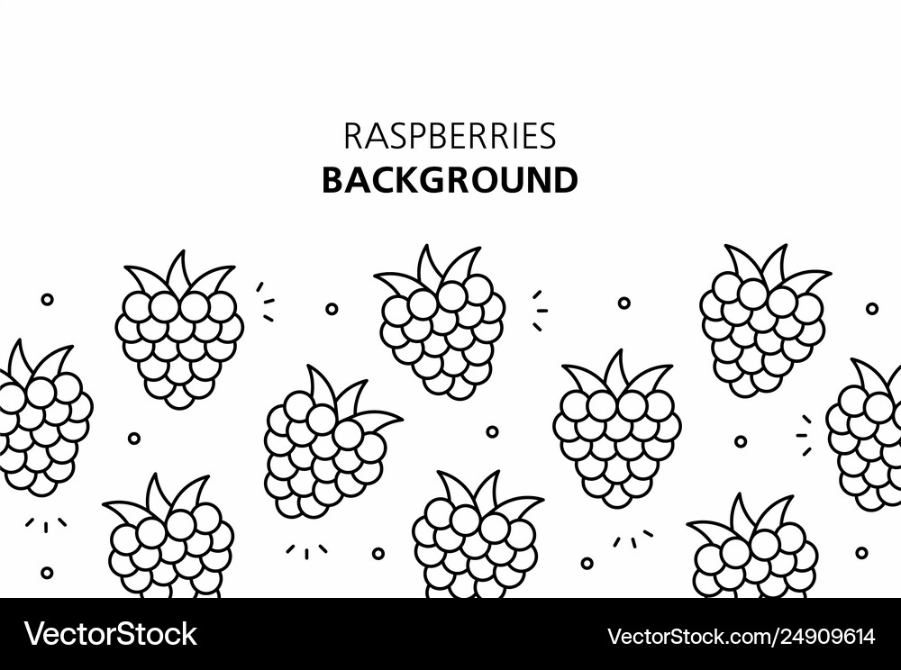 Raspberries background Royalty Free Vector Image