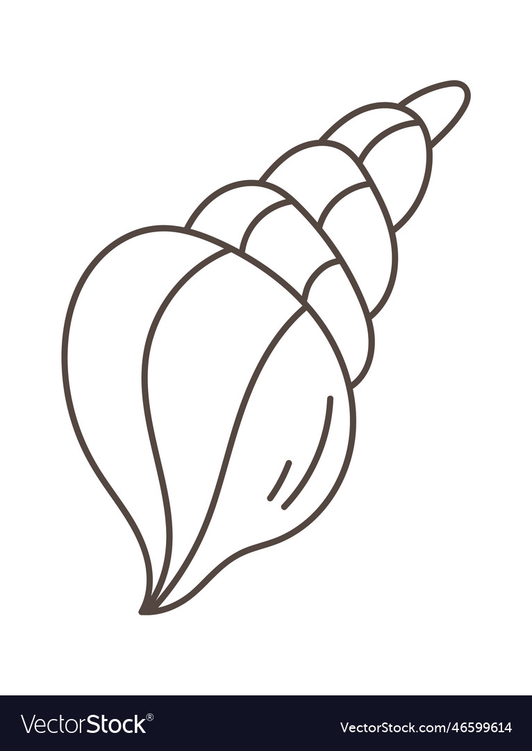 Seashell clam icon