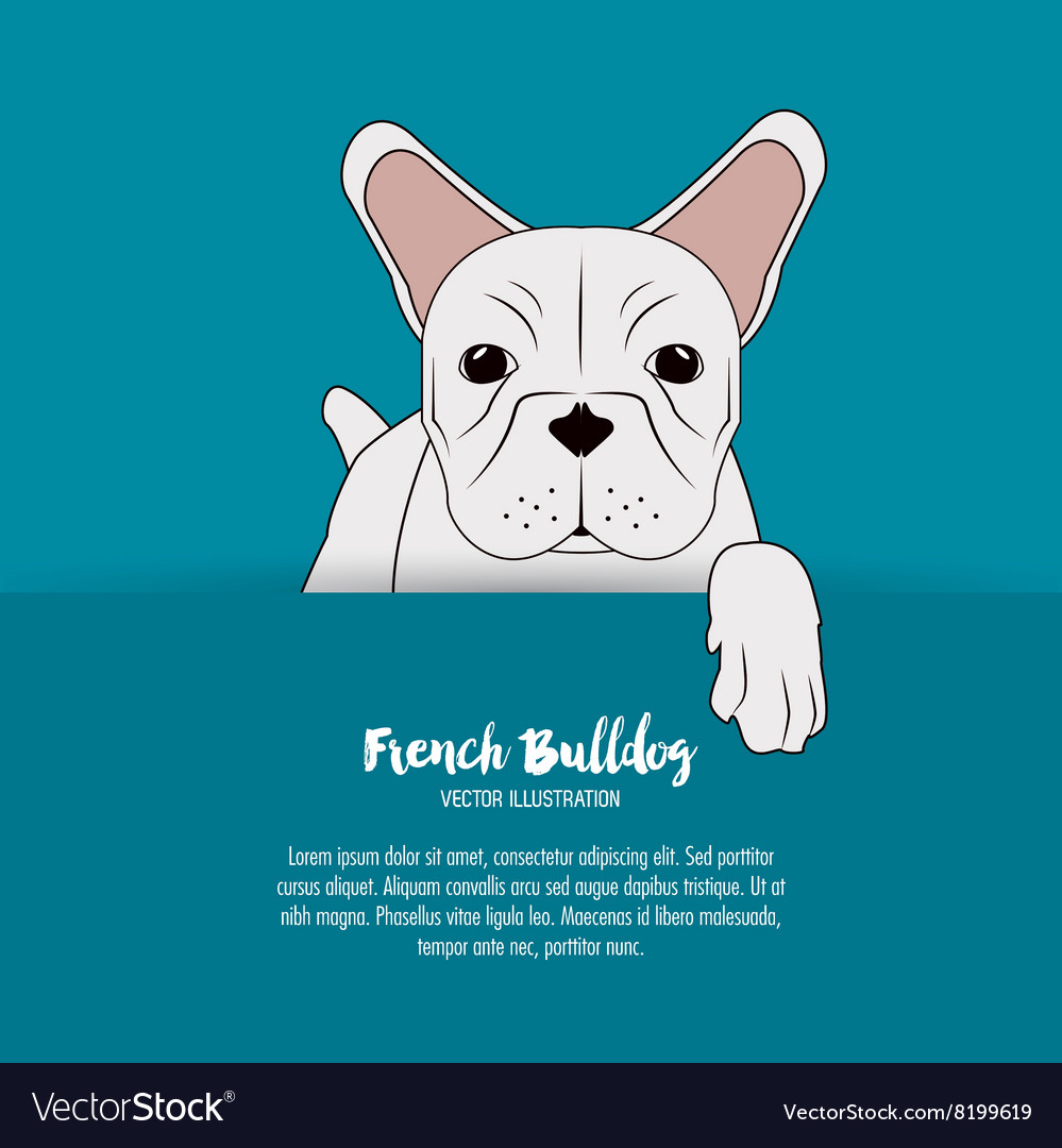 French bulldog design