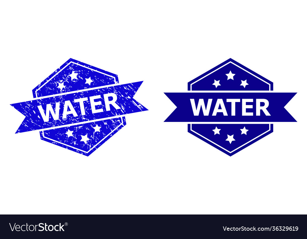 Hexagonal water watermark with scratched style Vector Image