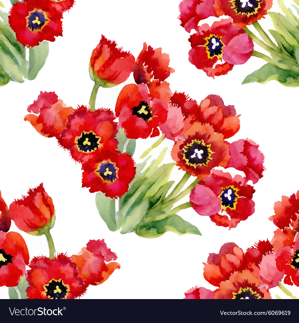 Watercolor of tulips flowers