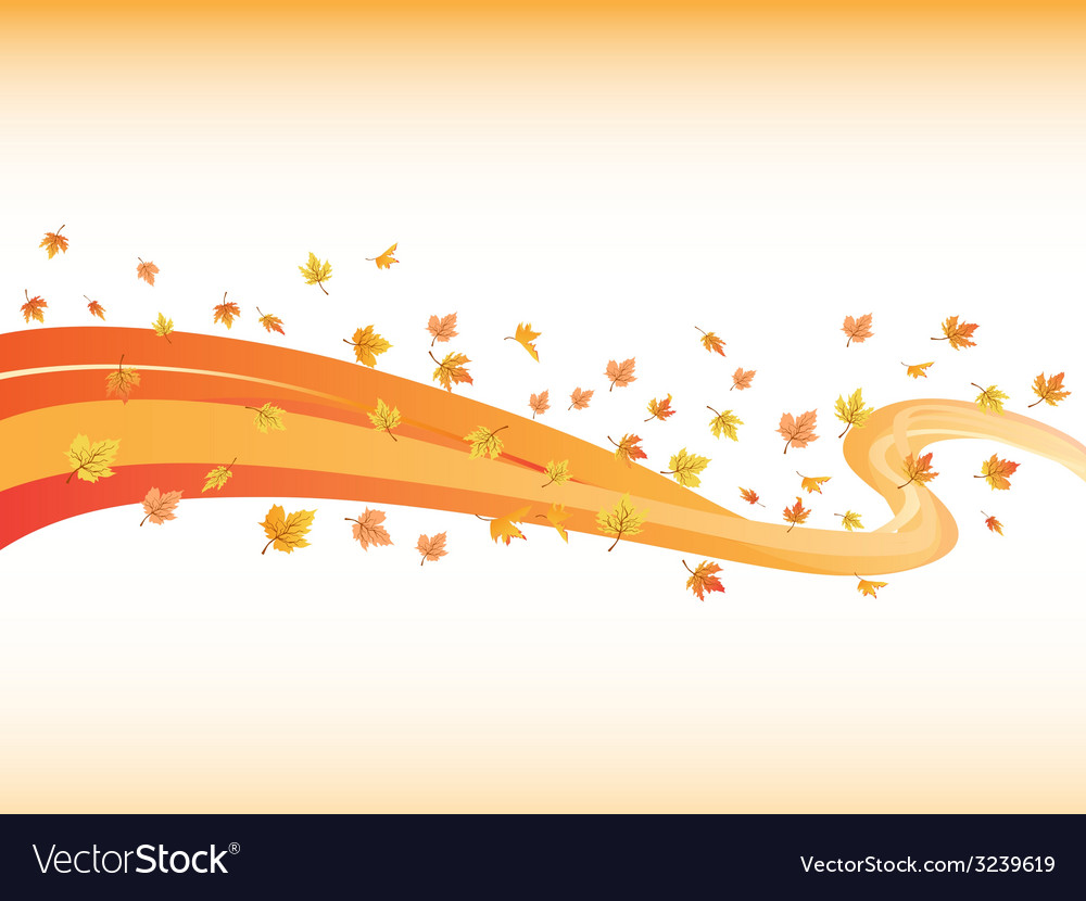 Windswept maples curve background
