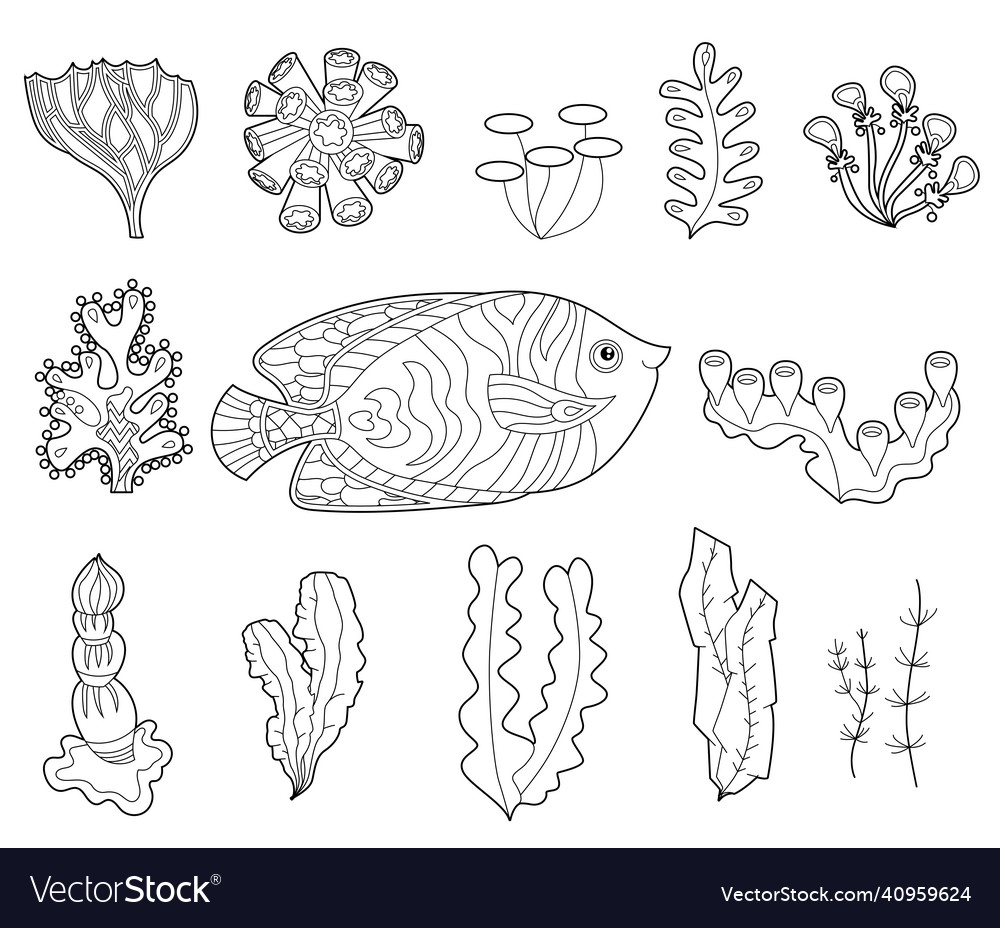 Contour linear set with fish and ocean corals vector image Contour linear set with fish and ocean corals