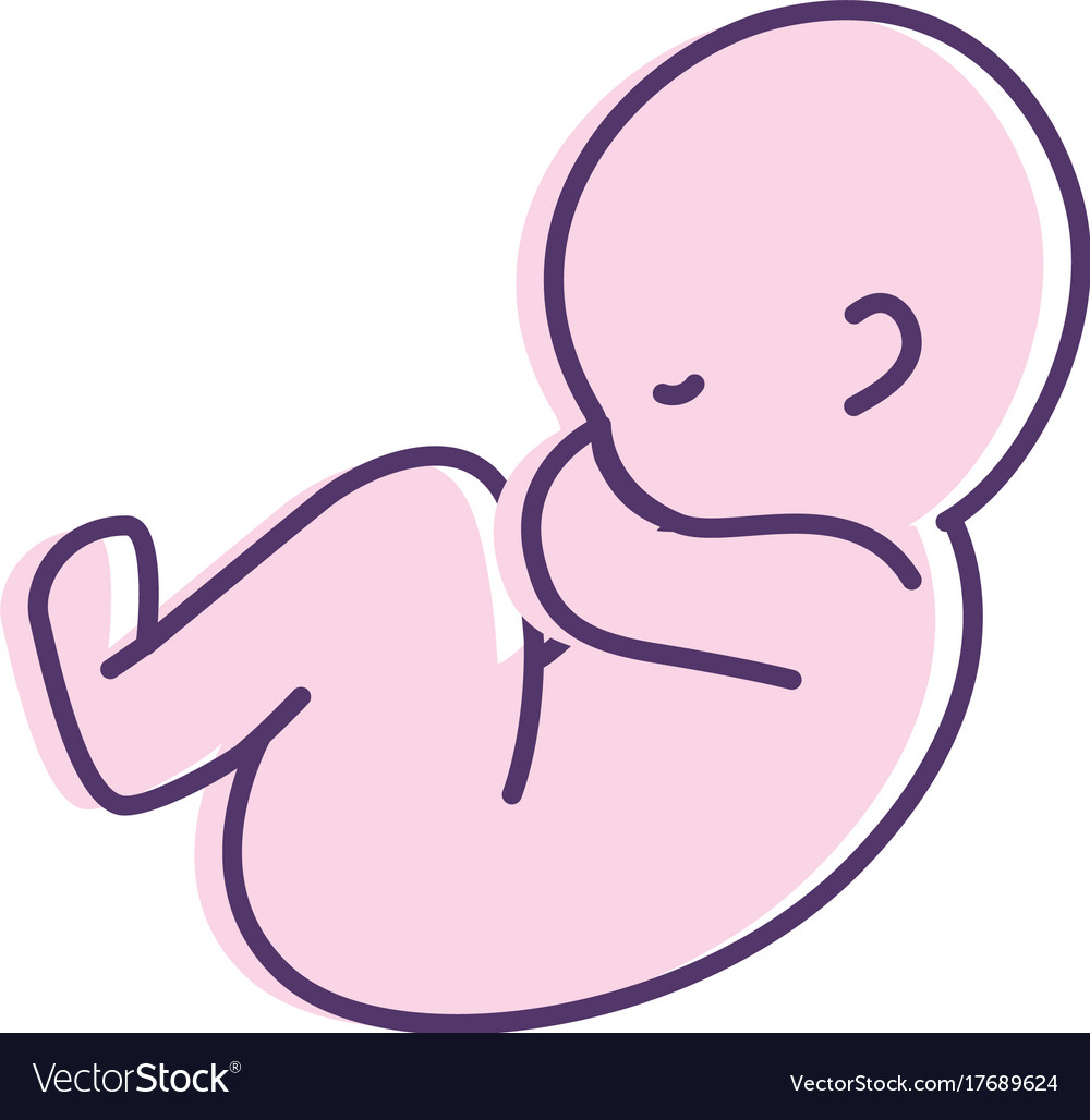 Nice baby to newborn life Royalty Free Vector Image