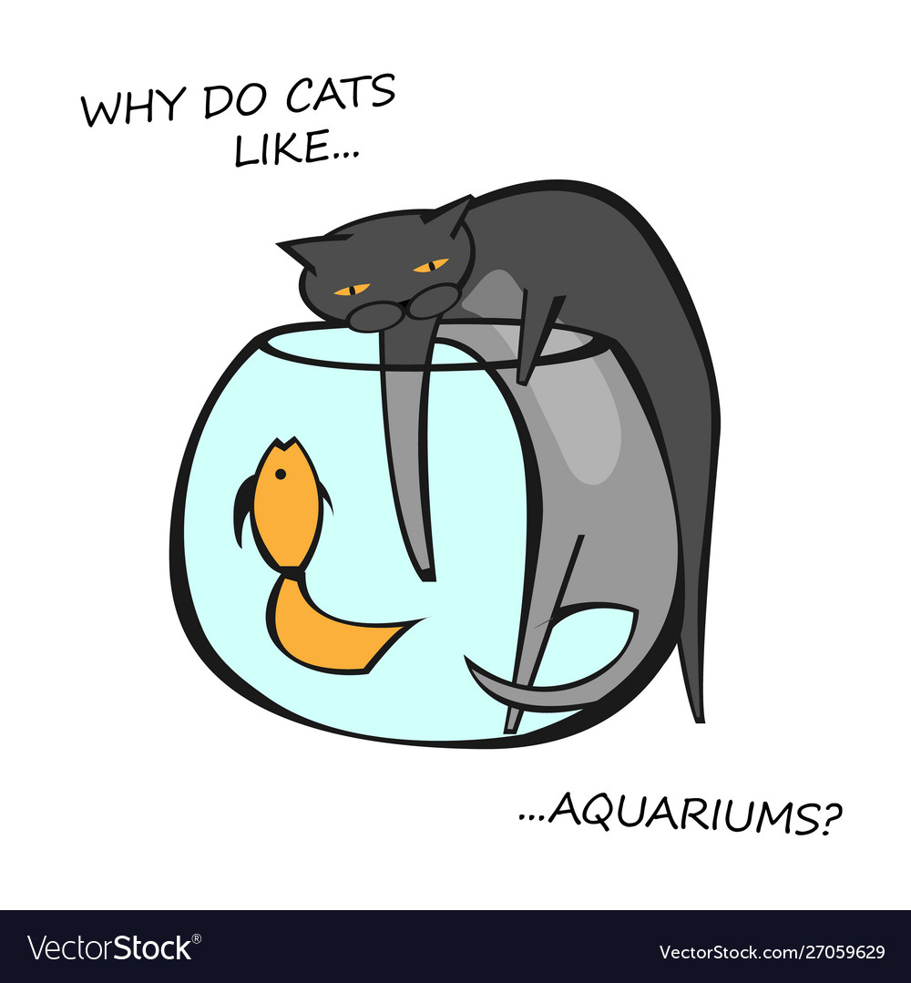 Cat behavior image vector image Cat behavior image