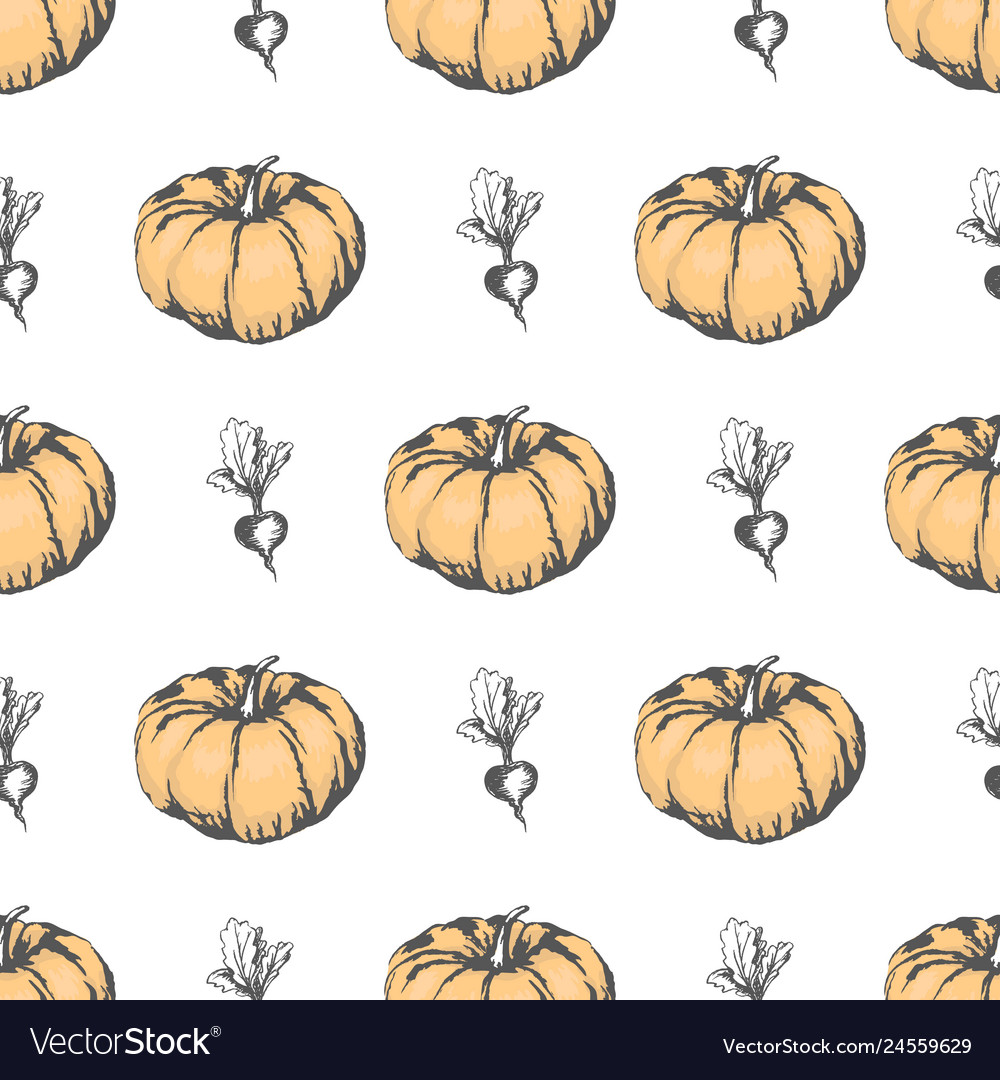 Ripe pumpkin and monochrome beet endless texture Vector Image