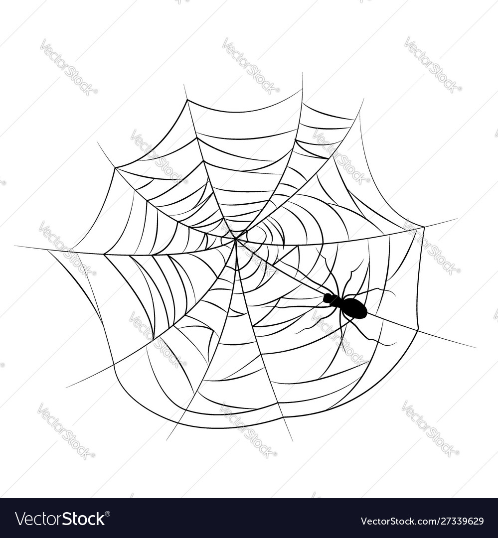 Set spider web different shapes with black vector image Set spider web different shapes with black