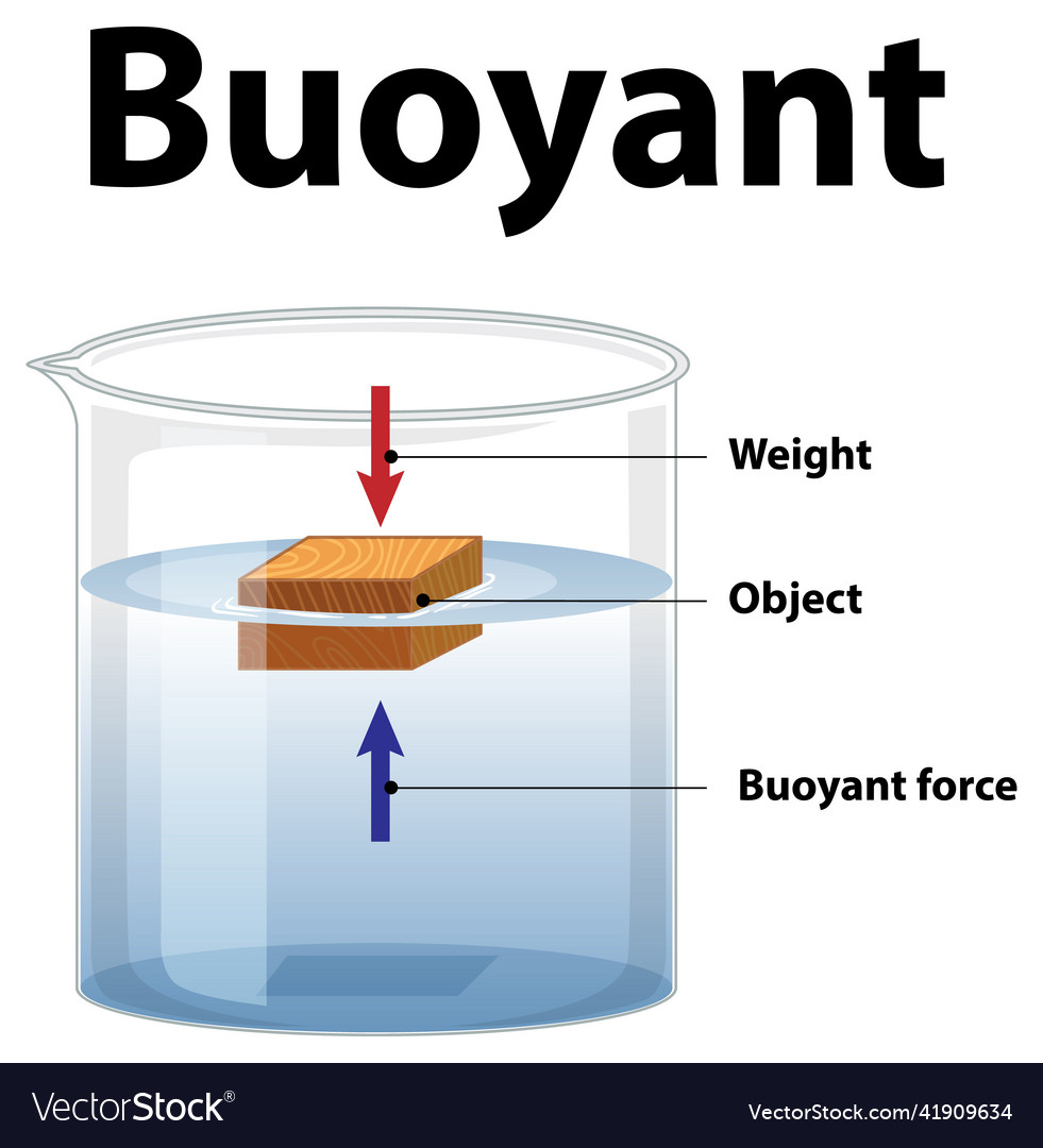 Buoyant science experiment on white background