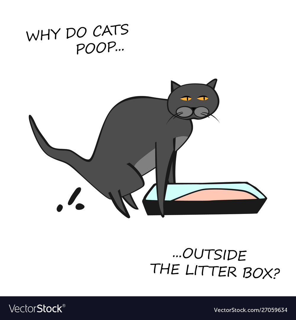 Cat behavior image