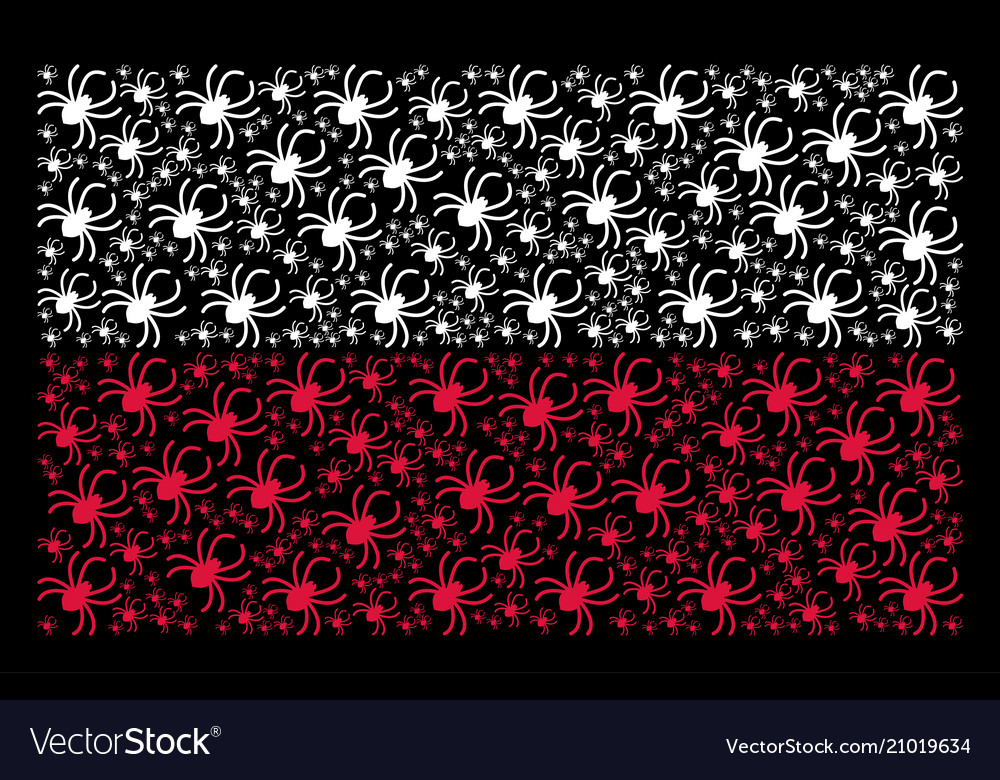 Polish flag pattern of spider items vector image Polish flag pattern of spider items