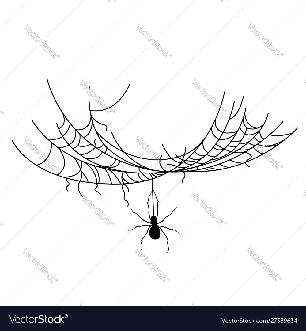 Set spider web different shapes with black