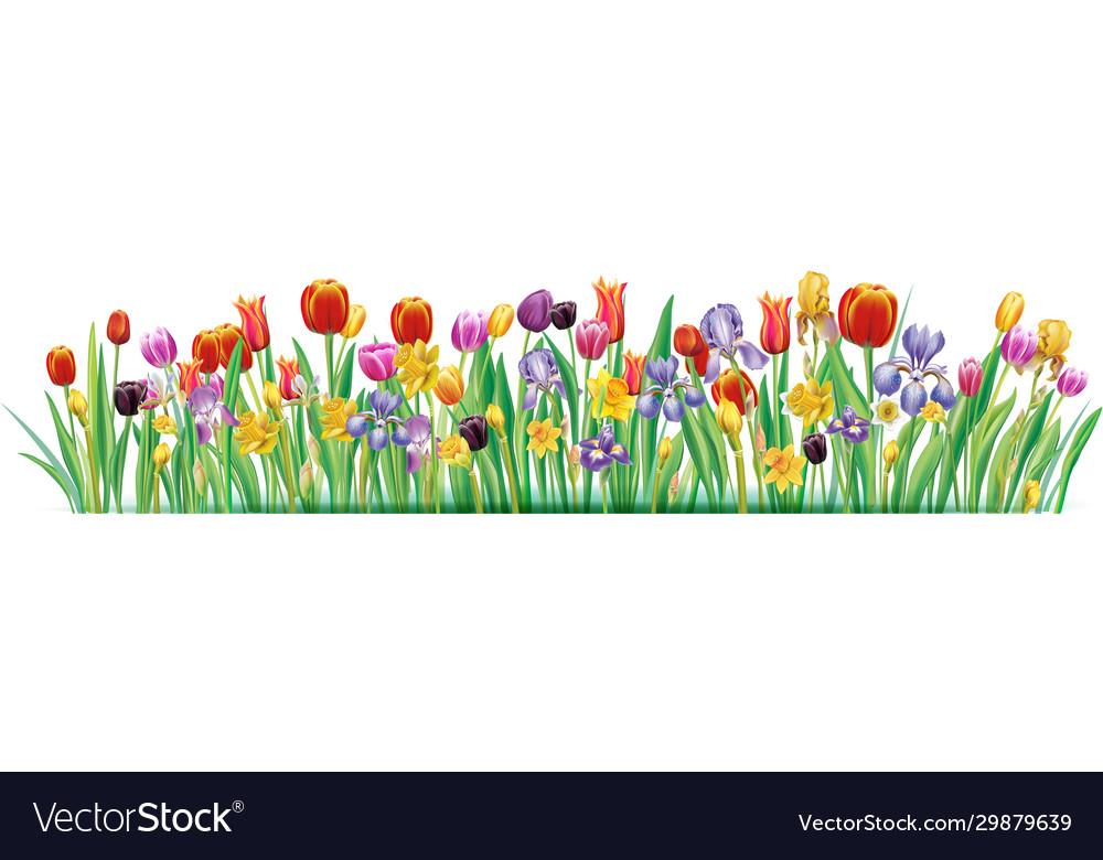 Border from arrangement with multicolor spring Vector Image
