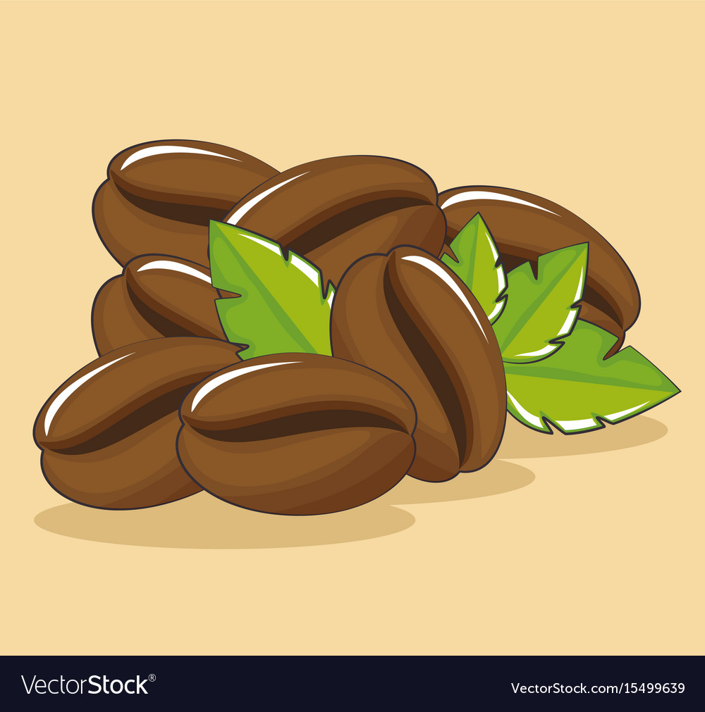 Coffee beans icon