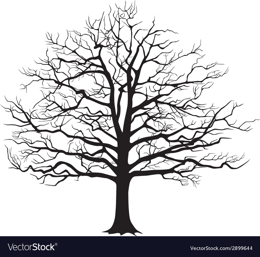 Download Black silhouette bare tree Royalty Free Vector Image