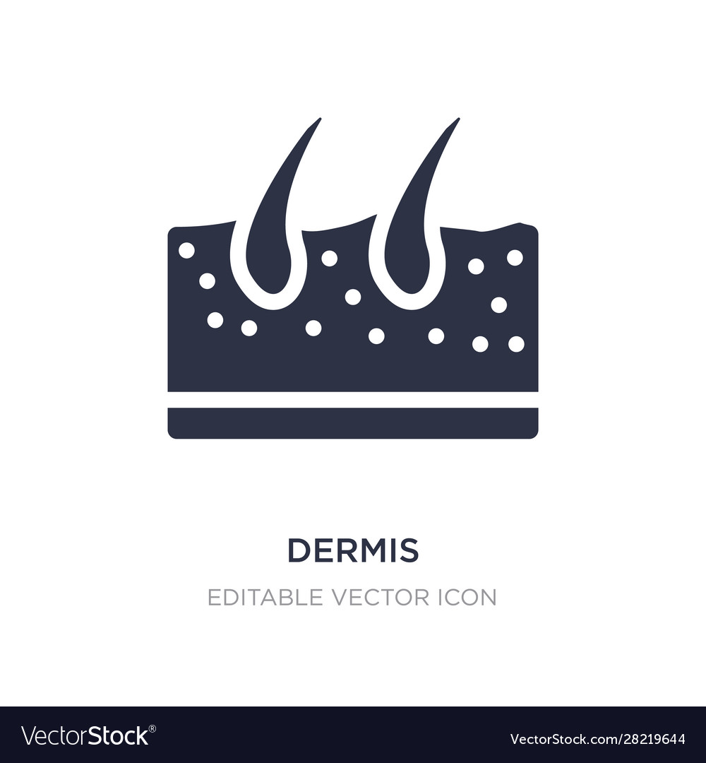 Dermis icon on white background simple element vector image Dermis icon on white background simple element