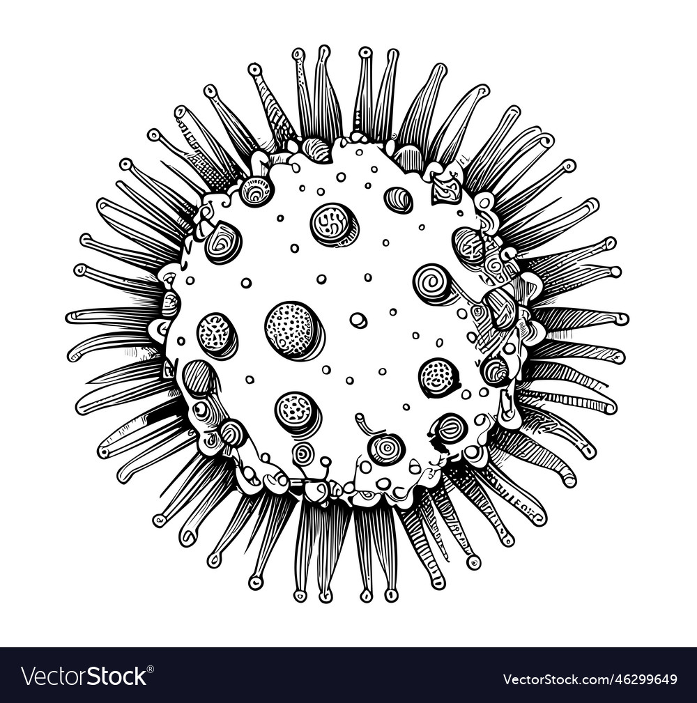 Coronavirus hand drawn sketch Royalty Free Vector Image