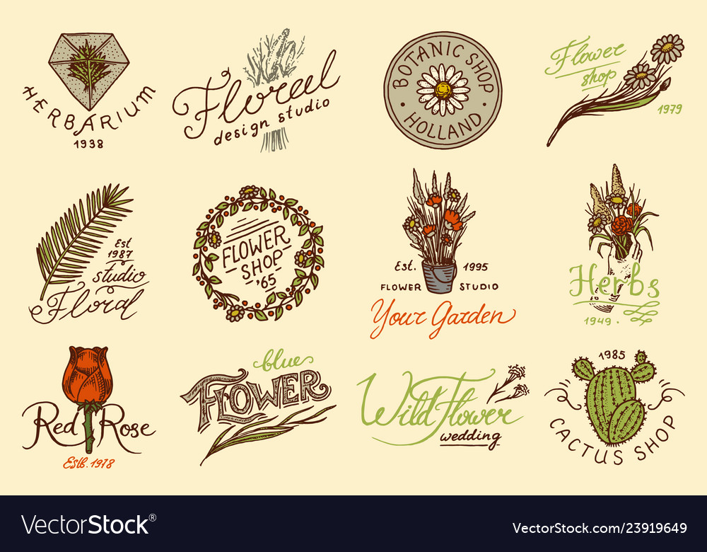 Flower shop emblems and bright logo vintage vector image Flower shop emblems and bright logo vintage