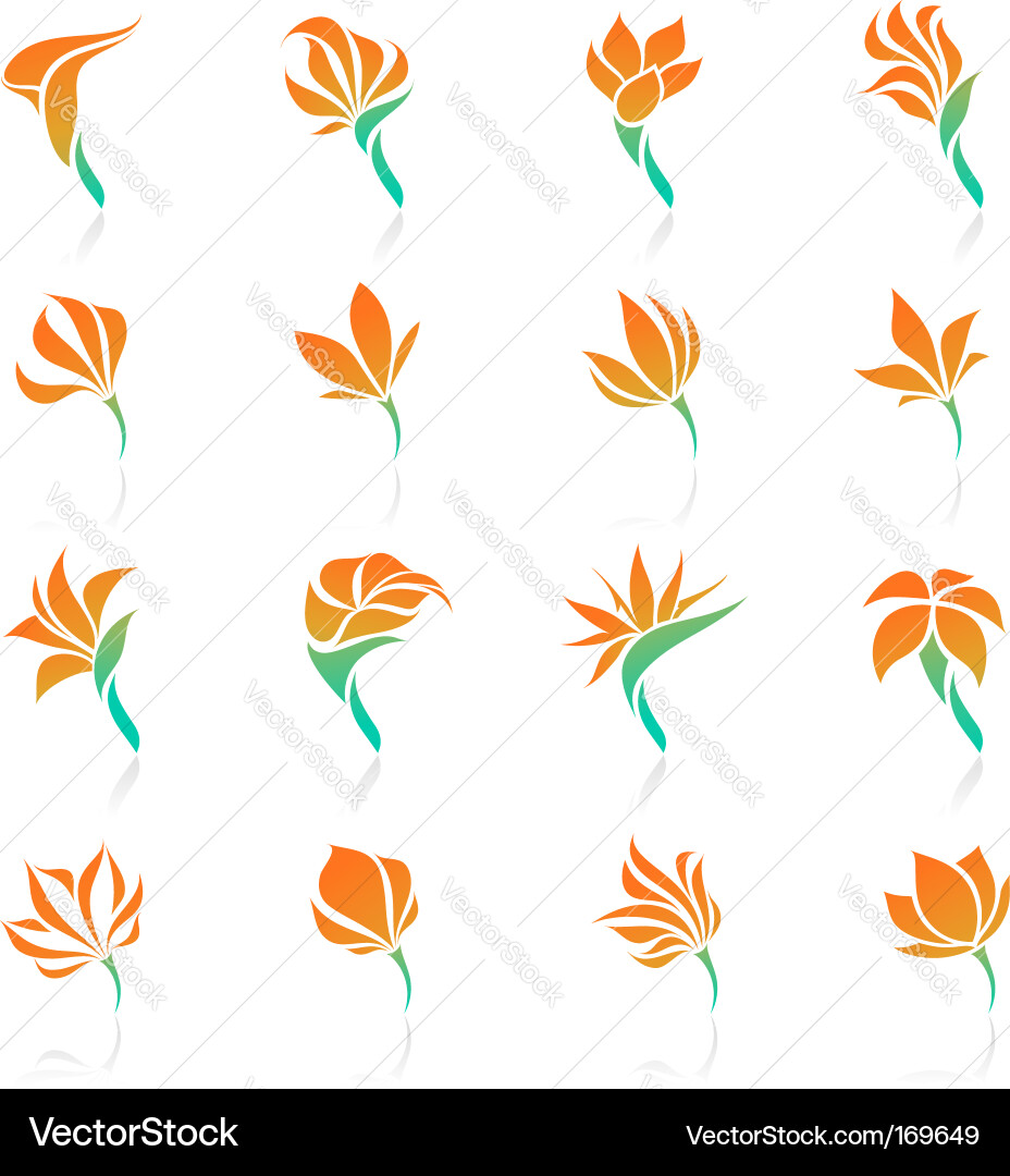 Tropical flowers elements for design Royalty Free Vector