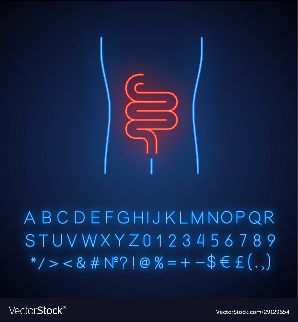 Gesundes Darm Neon Licht Ikone menschliches Organ