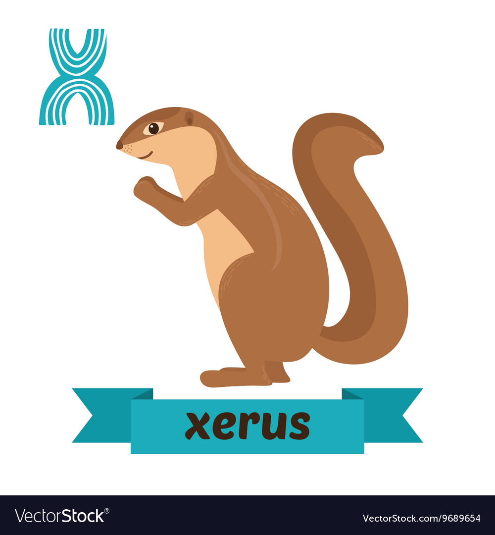 Xerus X Letter Cute Children Animal Alphabet In Vector Image