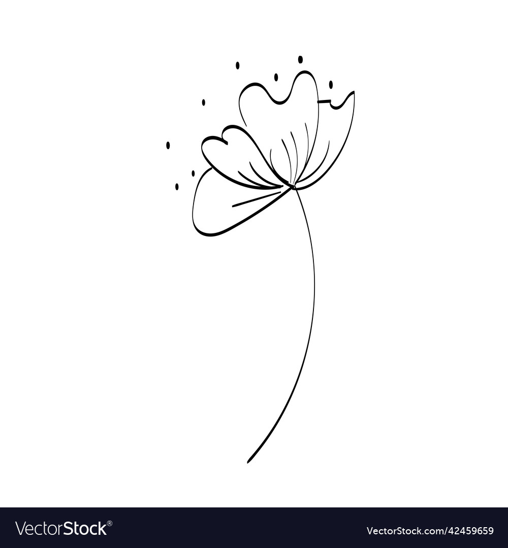 Flowers and herbs isolated on white background