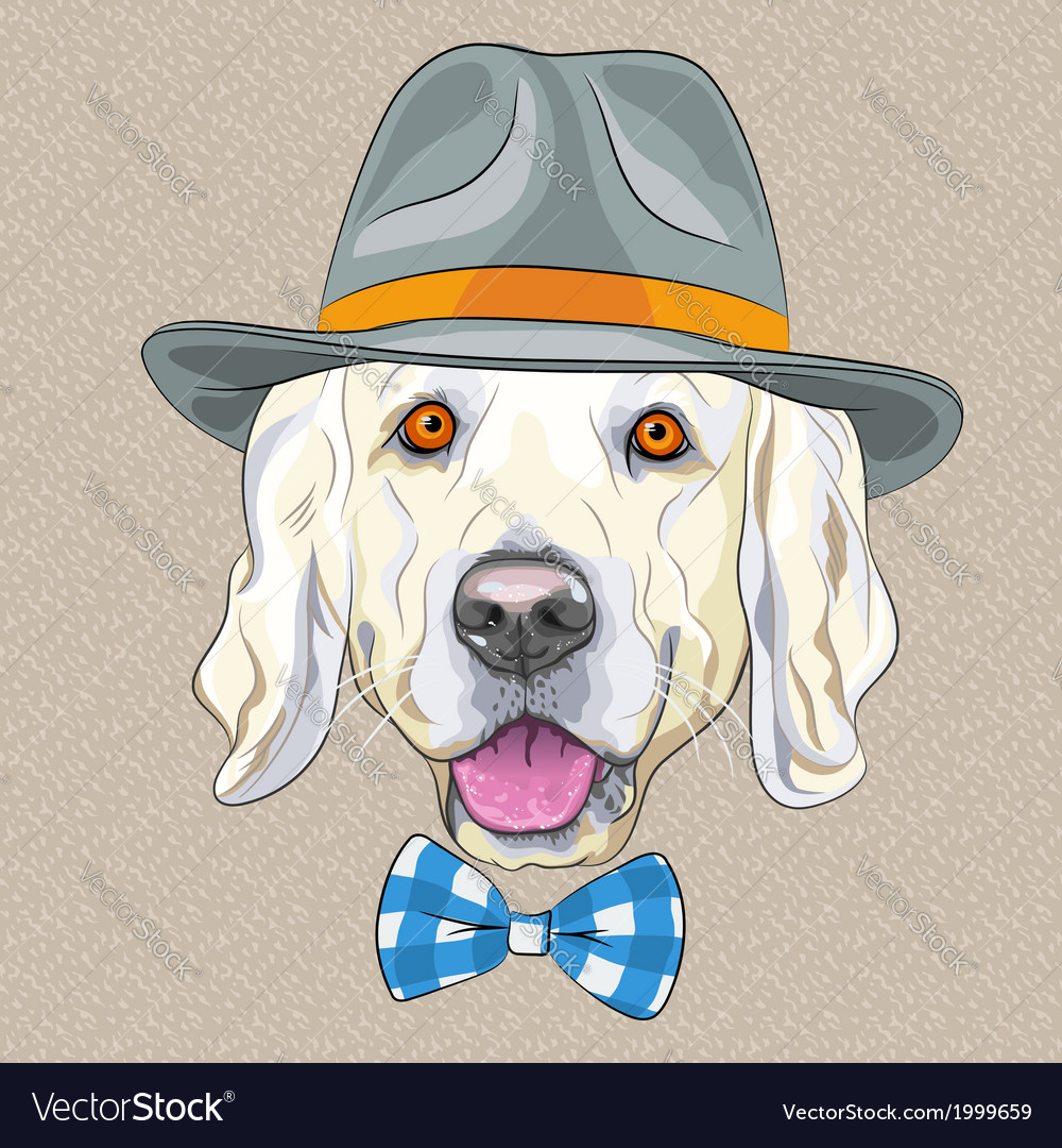 Hipster dog golden retriever Royalty Free Vector Image