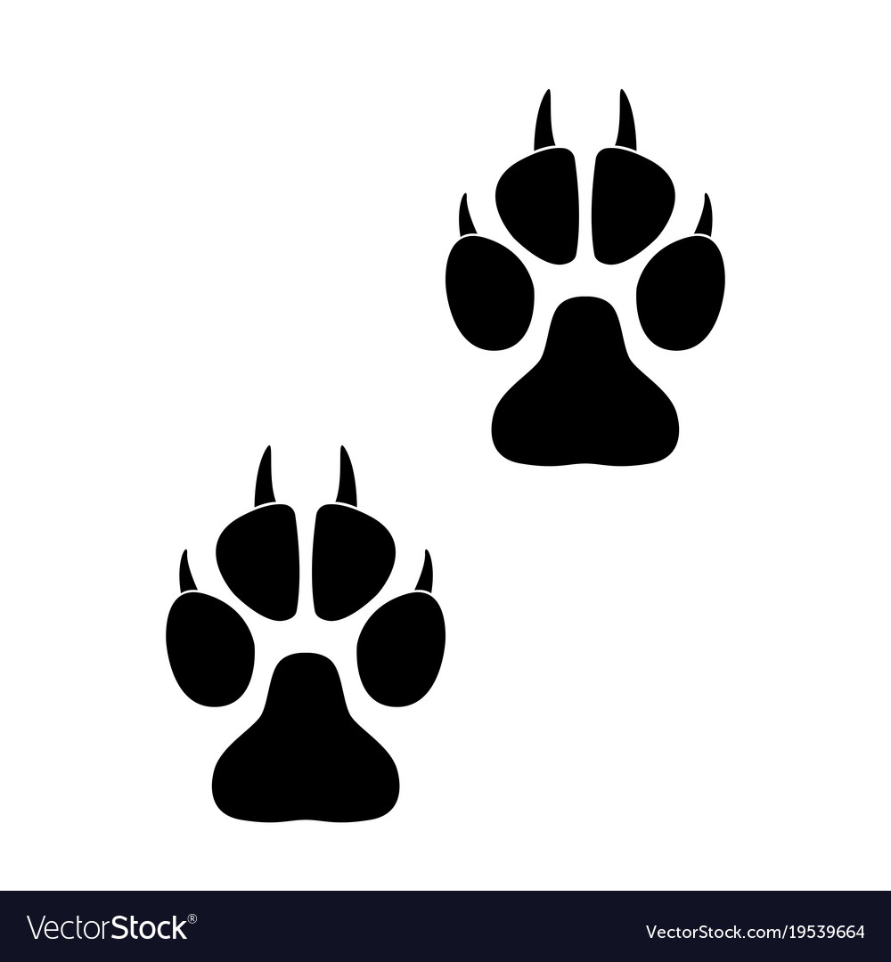 Animal Paw Prints