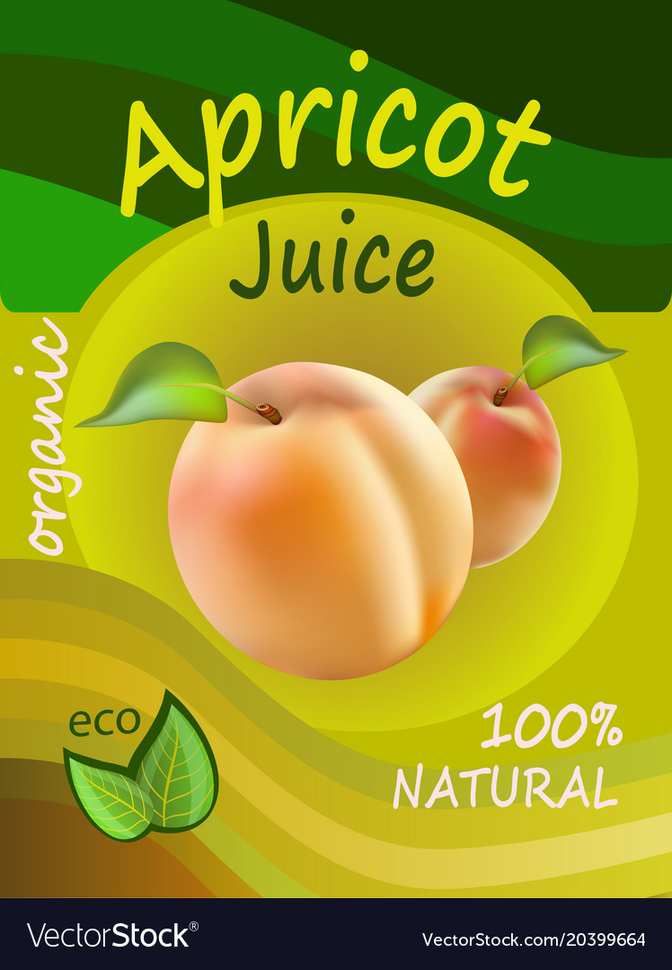 Apricot juice template packaging design ill