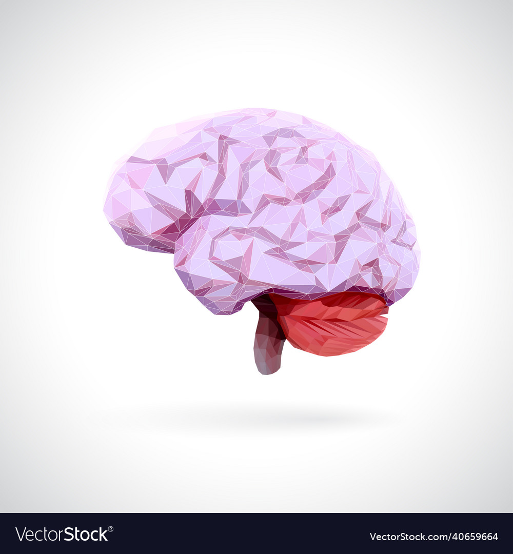 Brain showing connections using triangular lines vector image Brain showing connections using triangular lines